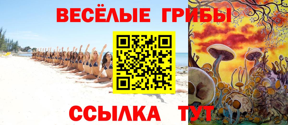 Галлюциногенные грибы Psilocybe  Вход с VPN  Новошахтинск 