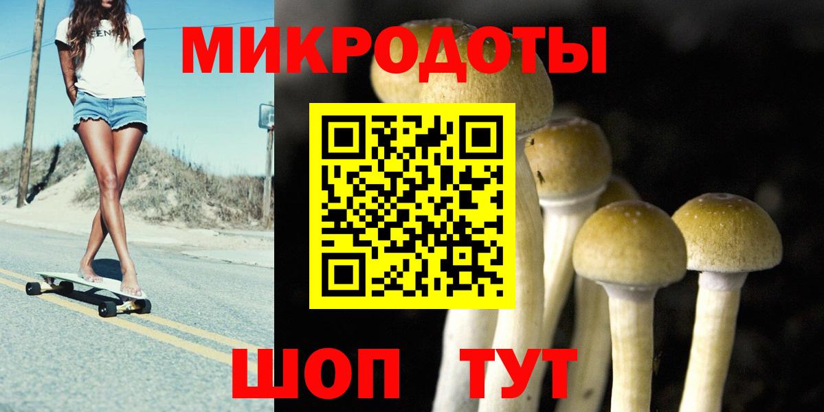 Галлюциногенные грибы Psilocybine cubensis Новошахтинск